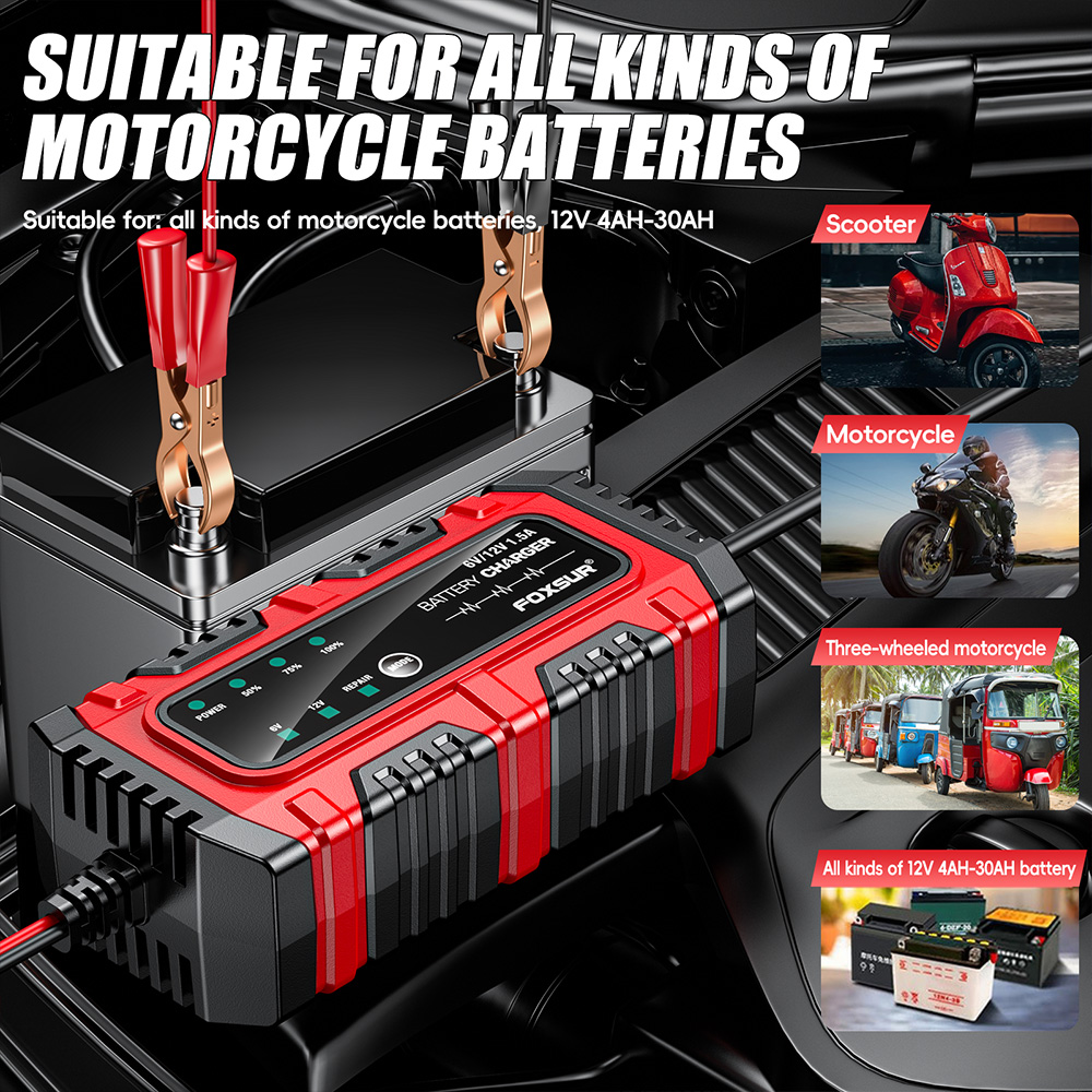 Bộ sạc ắc quy chì 6/12VDC FBC061215E