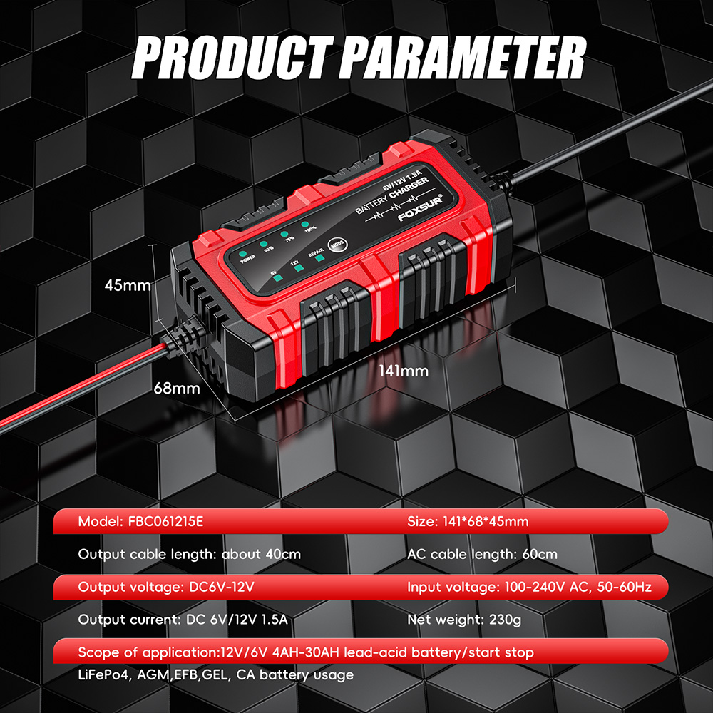 Bộ sạc ắc quy chì 6/12VDC FBC061215E