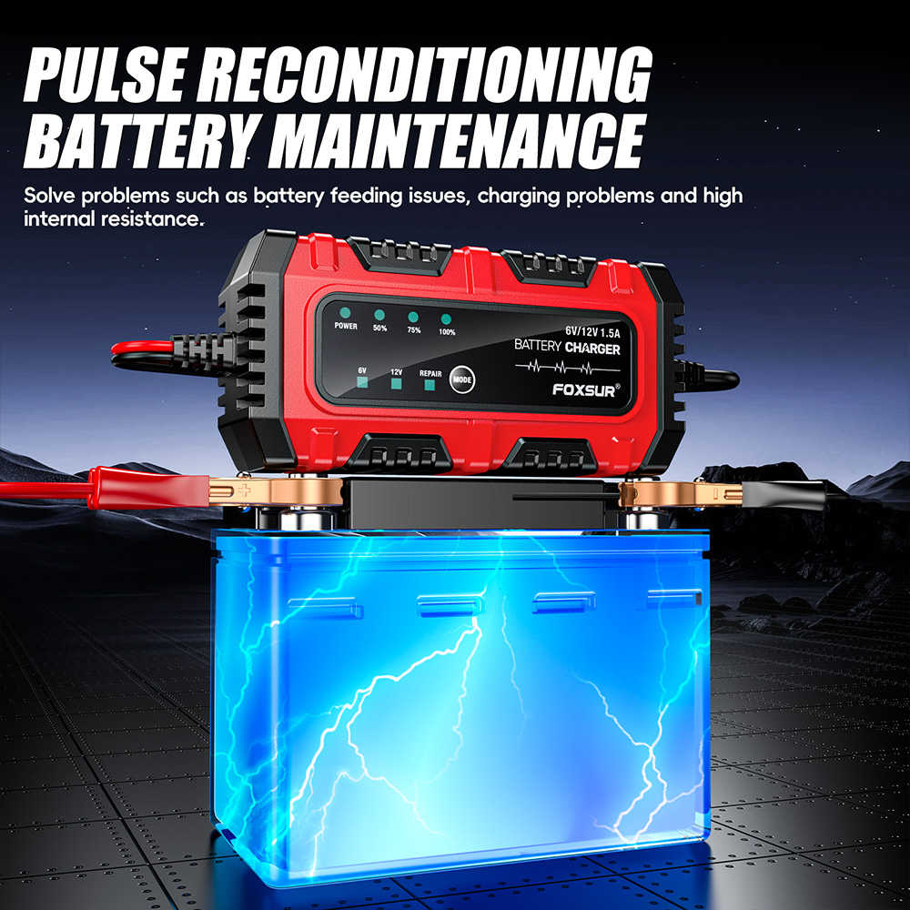 Bộ sạc ắc quy chì 6/12VDC FBC061215E