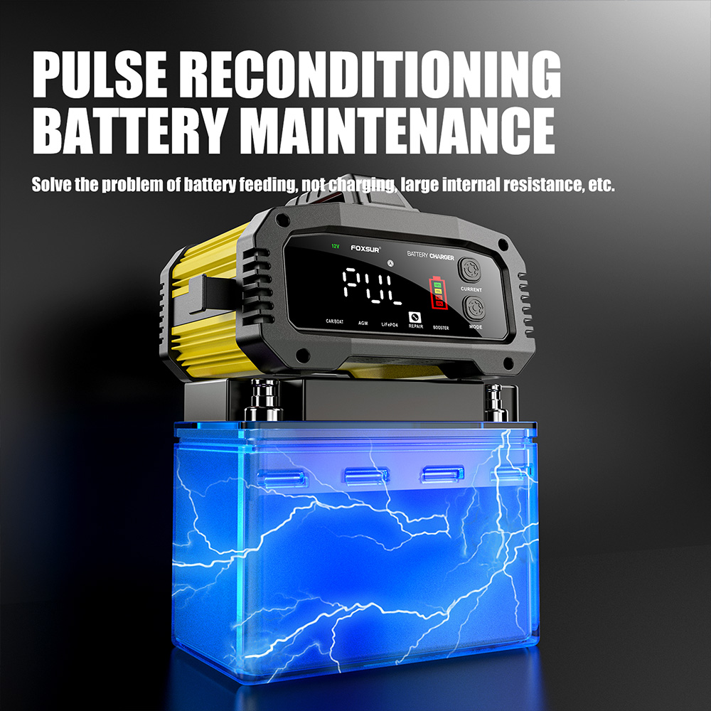 bo-sac-ac-quy-FPT-250-25A-12V_24V-tu-dong-hoan-toan-8-giai-doan