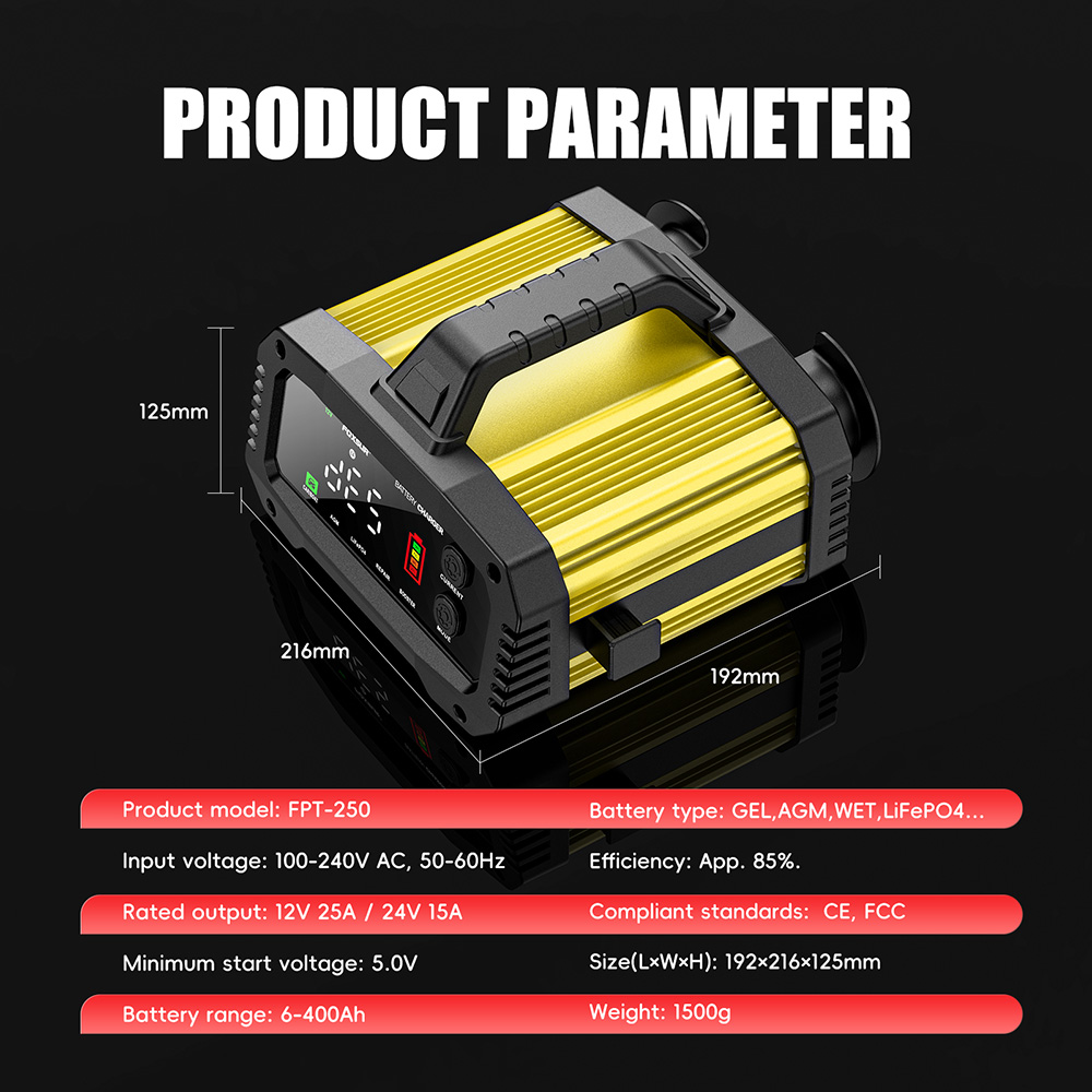 bo-sac-ac-quy-FPT-250-25A-12V_24V-tu-dong-hoan-toan-8-giai-doan